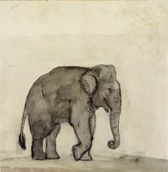 Éléphant, vers 1790